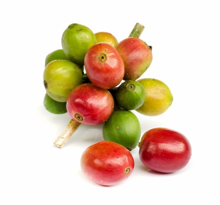 red ripe coffee beans isolated on white background.の写真素材