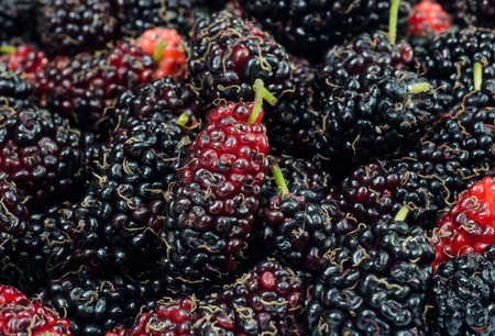 Close up of  mulberries fruit a background.