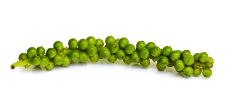 Fresh piper nigrum isolated on a white .の写真素材
