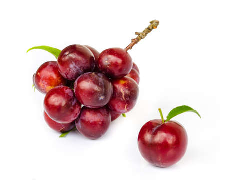 Ripe plums with leaves on white background.の写真素材