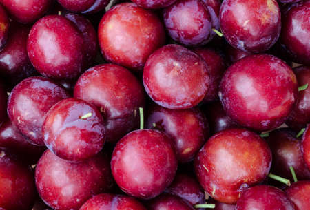 Close up  of Ripe plums with leaves .の写真素材