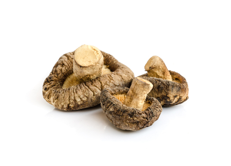 Dry Shiitake Mushrooms isolated on white background.の写真素材