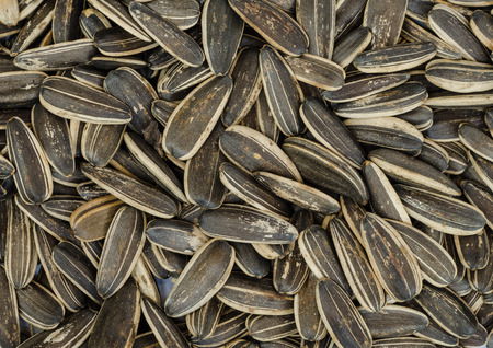 Close - up of Sunflower  Seeds roasted  background .の写真素材