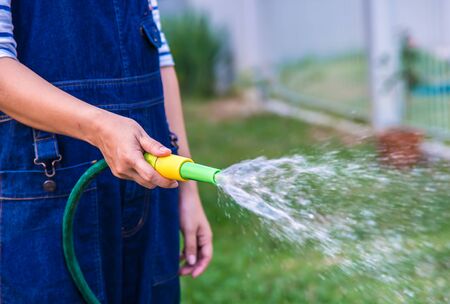 Women  watering the lawn in the garden.の写真素材