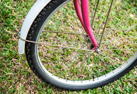 Close up of Old bicycle part in the garen.の写真素材