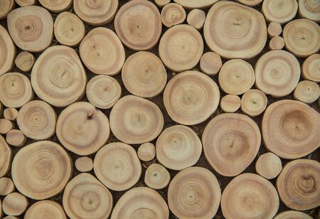 Close up of Wood texture of cut tree trunk.の写真素材