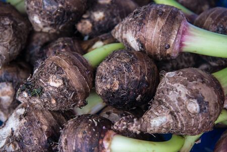 Taro root is a plant commonly used in cooking.の写真素材