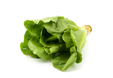 lettuce organic vegetable isolated on white background.の写真素材