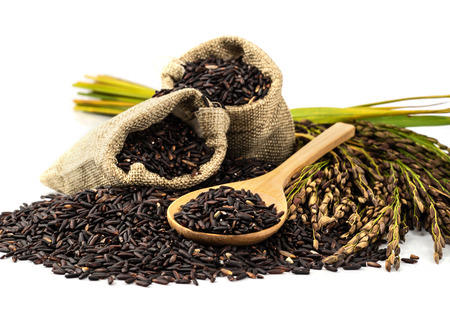 The rice is deep purple in colour; this gorgeous dark colour is typical of plants that yield high nutrition.の写真素材