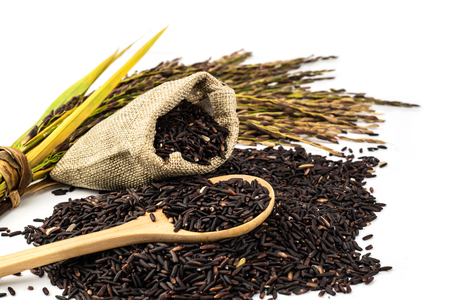 The rice is deep purple in colour; this gorgeous dark colour is typical of plants that yield high nutrition.の写真素材