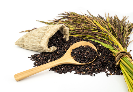 The rice is deep purple in colour; this gorgeous dark colour is typical of plants that yield high nutrition.の写真素材