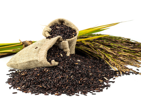 The rice is deep purple in colour; this gorgeous dark colour is typical of plants that yield high nutrition.の写真素材