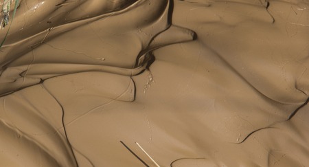 Flowing wet brown mud close up textureの写真素材