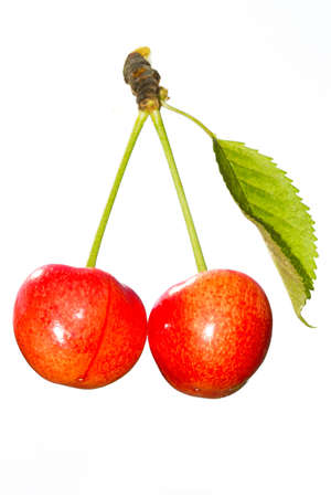 Sweet ripe cherry in closeup.