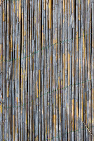 Old reed wall detailed textureの写真素材