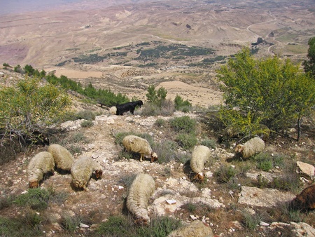 Jordanの写真素材