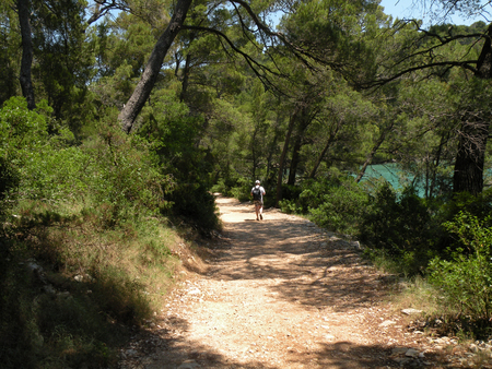   Croatia,island Mljet                             の写真素材