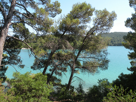     Croatia,island Mljet                              の写真素材