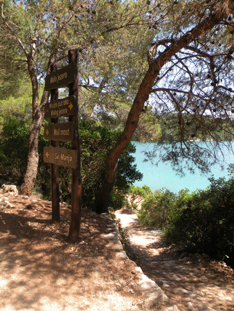   Croatia,island Mljet                                   の写真素材
