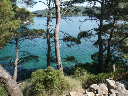 Croatia,island Mljet  の写真素材