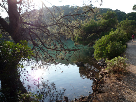 Croatia,island Mljet  の写真素材