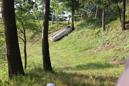 agricultural landscape with plants and trees の写真素材