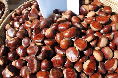 Many chestnuts arranged at the background の写真素材