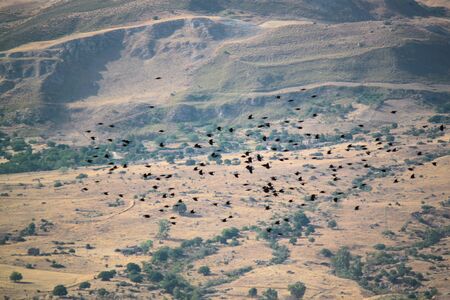 natural landscape with hills in Sicilyの写真素材