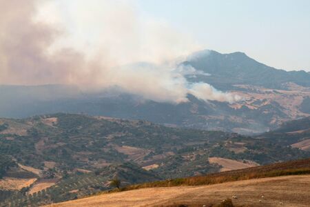 view of agricultural fire in the center of Sicilyの写真素材