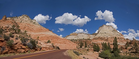 Scenic drive in Zion national parkの写真素材
