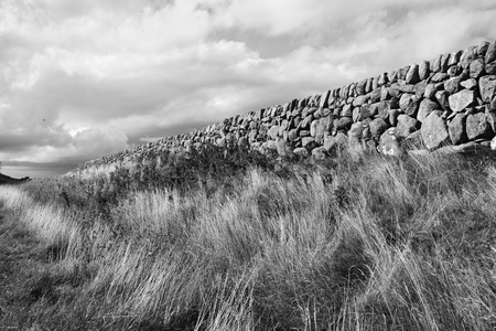 Stone Wall - Black   Witheの写真素材