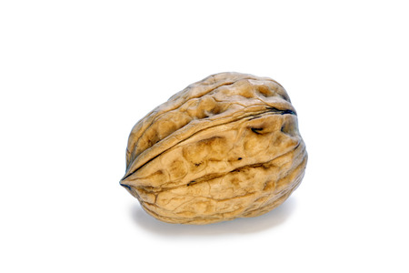 Walnut on the withe background