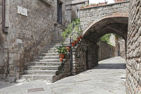 VITERBO, ITALY, MAY 4, 2014  Exhibition  San Pellegrino in Fiore in Viterbo   The event in San Pellegrino in Fiore sees the historic city of Viterbo with floral decorations in the streets and squares のeditorial素材