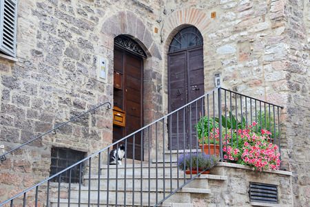 Assisi, small town of umbria, italyのeditorial素材
