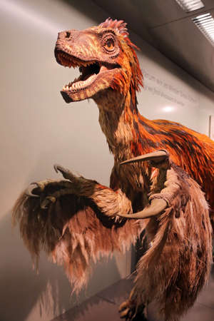 Vienna, Austria - April 24, 2019: The Papyrus museum at Heldenplatz in the Hofburg complex. The museum hosts the largest collection of papyri in the world, in the center of the Imperial Palaceのeditorial素材