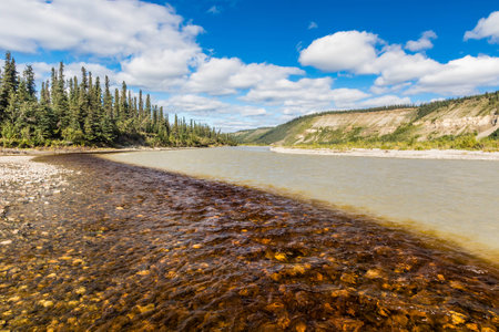 Plume of dark tea-stained creek water mixing with the glacial Nenana River water coming out of...