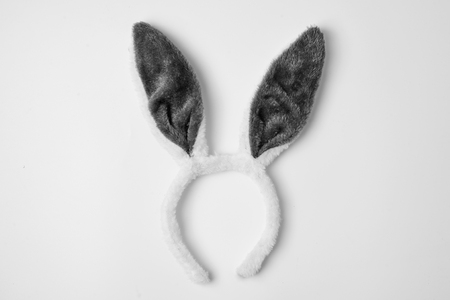 Top view of grey rabbit ears on white background easter minimal blogger conceptの写真素材