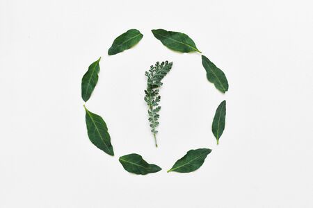 Creative arrangement made of natural grean leaves. Flat lay. Round frameの写真素材