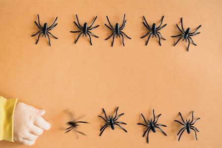 Halloween background decoration holiday concept. Minimal flat lay view of black spide. Octoberの写真素材