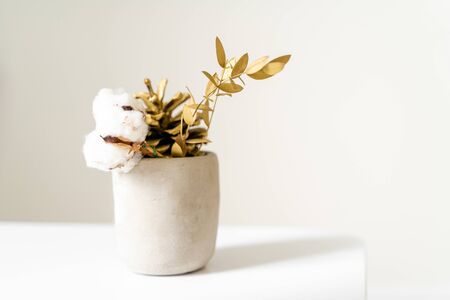 Minimal concrete bowl with cotton flower, pine cone in golden paint.の写真素材