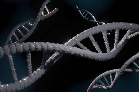 DNA chain close up. Genome spiral, biotechnology. 3d renderの写真素材
