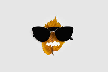 Yellow fall leaf with halloween face and Sunglasses. Natural holiday. Minimal.の写真素材