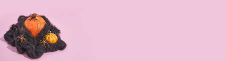 Pumpkin in black spiderweb and spiders on pink pastel background with sunlight shadow. Untraditional...