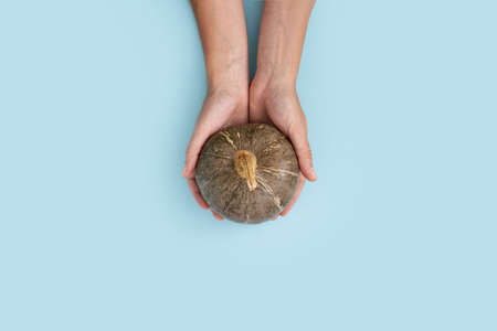 Top view of woman hands with pumpkin on blue background. Halloween, thanksgiving, harvest concept