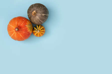 Pumpkins on blue pastel background. harvest, halloween, thanksgivingの写真素材