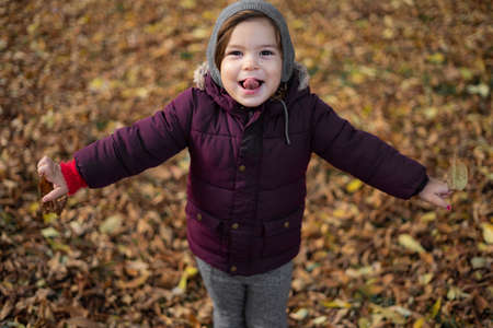 Happy toddler child plays with yellow leaves on sunny autumn dayの写真素材