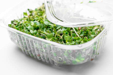 Microgreens bowl on white marble background. superfood conceptの写真素材