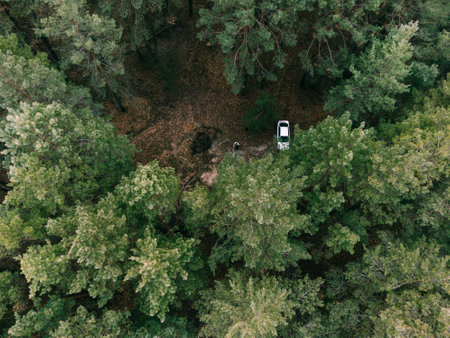 Aerial view of pne evergreen forest and white car. Camping on nature. Sustainable local travel. Restorative escapeの写真素材