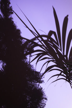palm tree leaf shadow in neon light. tropical night party in summer. vertical background