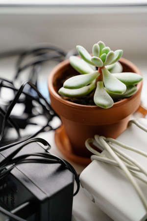 E waste, old cables and green plant. Gadget recycle of tech junk. Environment pollutionの写真素材